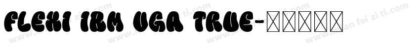 Flexi IBM VGA True字体转换